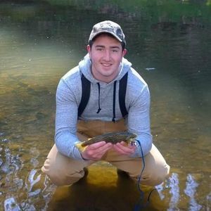 Meet your Posher, Bobby